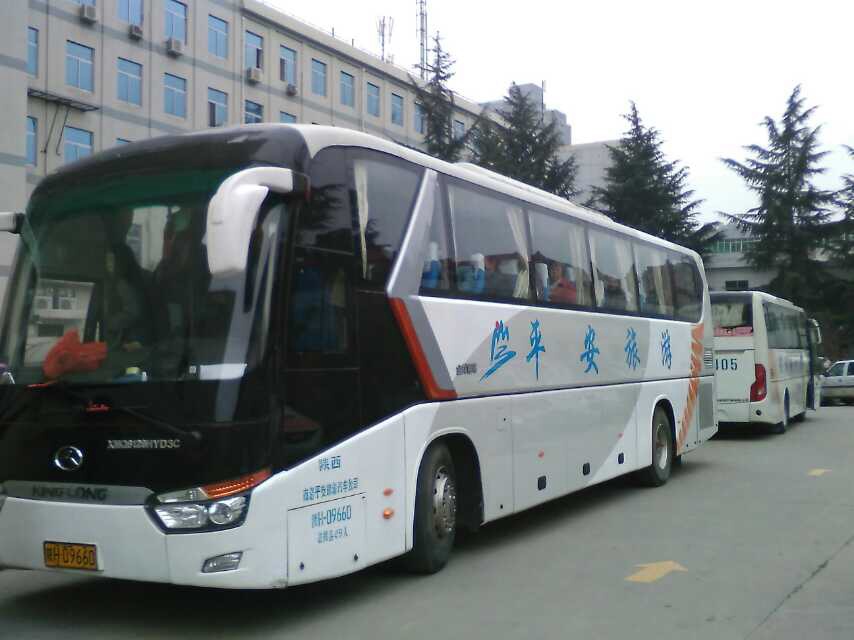 金龙-49